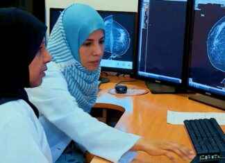 من يتحمل المسؤولية عن ضعف الجهاز المناعي أمام الخلايا السرطانية؟ news-16092024-092244