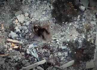 صور مسيرة إسرائيلية تقصف فلسطينيا – تحصل الجزيرة على الصور news-22092024-003458