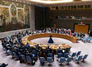 مقعدان دائمان لأفريقيا في مجلس الأمن: مقترح جدي أو مناورة أميركية؟ news-26092024-124514