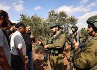 تدمير الأشجار الزيتونية في الضفة الغربية: تقرير الأمم المتحدة news-18102024-204949