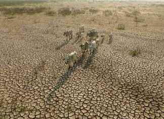 نداء عاجل: أمنستي تطالب الدول الثرية بنجدة أفريقيا مناخيًا news-04112024-170330