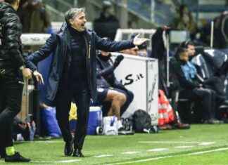 اقالة مدرب بارما بيكيا وترشيح كيفو كبديل محتمل