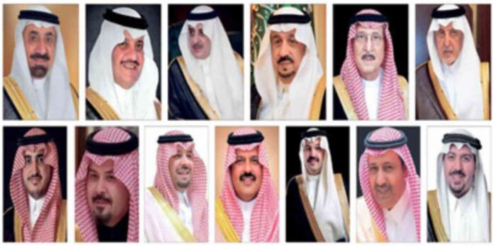 شكر أمراء المناطق القيادة على التبرعات السخية للعمل الخيري
