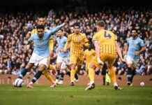 تعادل برايتون مع مانشستر سيتي في الدوري الإنجليزي: نتيجة المباراة وأبرز اللحظات