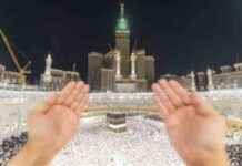 تصريحات إسكان: اعتماد 3,149 ترخيصًا 3149