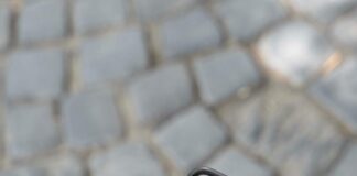 ايفون برو ماكس: هل يستحق الانتظار لأحدث الميزات الرائعة؟