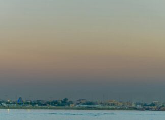 رقم خدمة عملاء فودافون كاش: كيف تحصل على دعم سريع وفعال؟