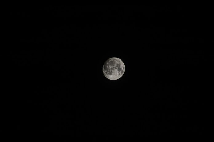 pexels-photo-28298058.jpeg