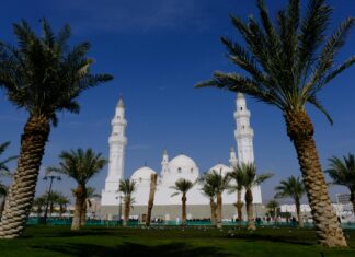 صحيفة احوال معلم بالرقم القومي: كيف تحصل عليها بسهولة الآن؟