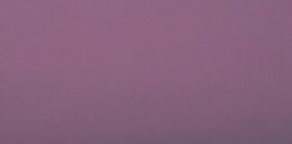 نتيجة الشهادة الإعدادية محافظة القليوبية: كيف تعرفها بسهولة؟