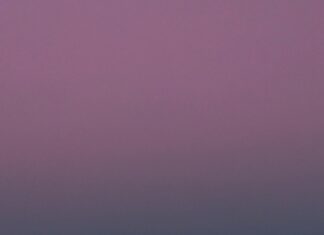 نتيجة الشهادة الإعدادية محافظة القليوبية: كيف تعرفها بسهولة؟