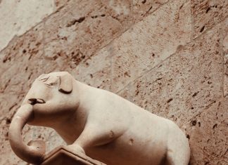 رابط نتيجة الثانوية العامة كيف تحصل عليها بسهولة وبسرعة مذهلة؟