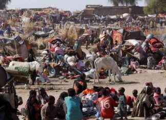 الحروب والجوع: كارثة الأغذية في السودان