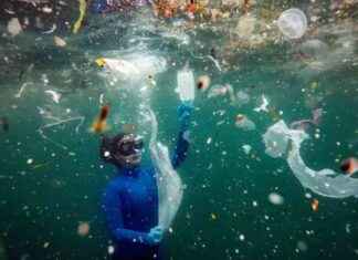 تأثير البلاستيك في المحيطات: خريطة ونتائج صادمة