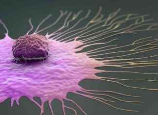 علاجات فعالة لبعض أنواع السرطان: دراسة تكشف النتائج