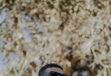 لينك تسجيل رقم الموبايل على موقع دعم مصر الآن: كيف تفعلها بسهولة؟