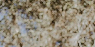 لينك تسجيل رقم الموبايل على موقع دعم مصر الآن: كيف تفعلها بسهولة؟