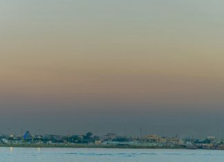 موقع وزارة الداخلية المصرية: كيف تحصل على خدمات الأمن بسهولة؟