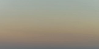 وزارة التربية والتعليم بيانات المعلم: كيف تحصل على معلومات دقيقة ومفصلة؟