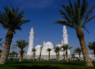 صحيفة احوال بيانات معلم: كيف تستفيد منها لتعزيز مهاراتك التعليمية؟