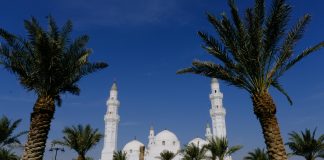 صحيفة أحوال بيانات معلم: كيف تُحدث ثورة في إدارة التعليم؟