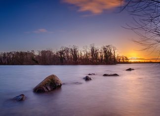 ايفون برو Max : لماذا يعتبر الخيار الأمثل لعشاق التقنية؟