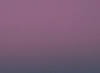 موعد ظهور نتيجة الشهادة الاعدادية محافظة الغربية: كيف تستعد وتعرف التفاصيل؟