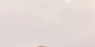 مسلسل كوبرا رمضان 2024: أسرار وأحداث مثيرة لا تفوتك