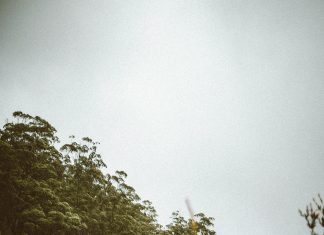 موقف أتوبيسات عبد المنعم رياض: دليلك الكامل لأفضل الطرق والتفاصيل