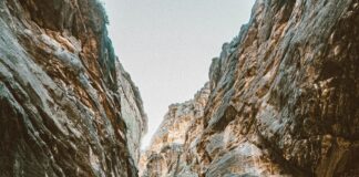 خالد عبد الفتاح: من هو ولماذا يثير كل هذا الجدل في المجتمع؟