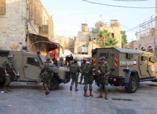 الهجرة القسرية: المستوطنون يطردون 30 عائلة فلسطينية في عين عمار 30