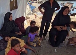 معاناة النازحين في ميناء غزة