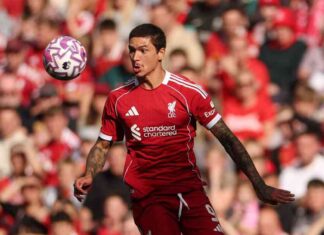 صفقة نونيز: الهلال السعودي يقترب من ضم مهاجم ليفربول