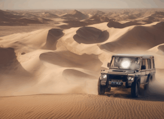 مباريات أرسنال القادمة: جدول اللقاءات وأهم المواجهات في الخليج مباريات أرسنال القادمة: جدول اللقاءات وأهم المواجهات في الخليج