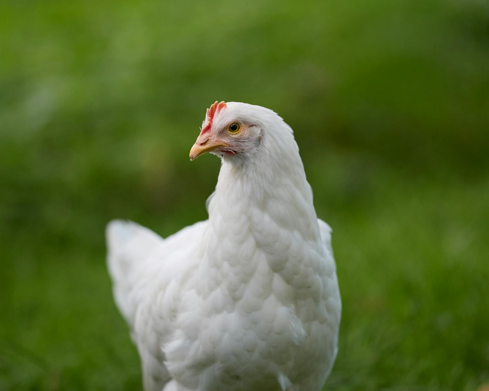 X طرق غير تقليدية لتخفيف الحرارة في المنزل*