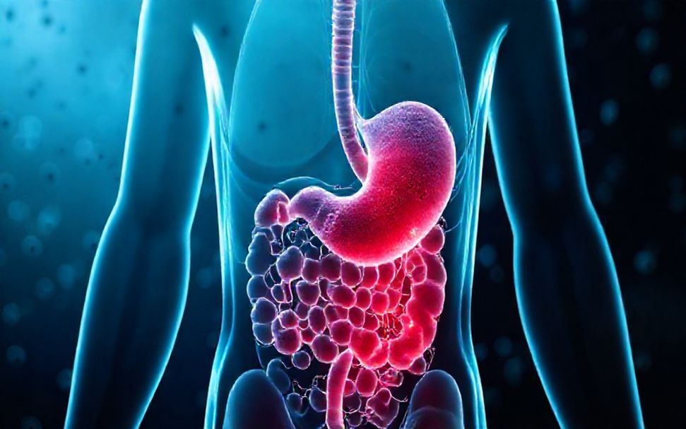 أعراض جرثومة المعدة وكيفية علاجها بالتفصيل
