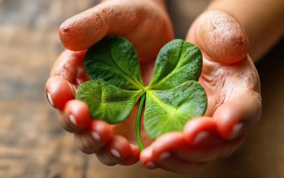 الحقيقة عن حظك اليوم: ما يجب أن تعرفه*