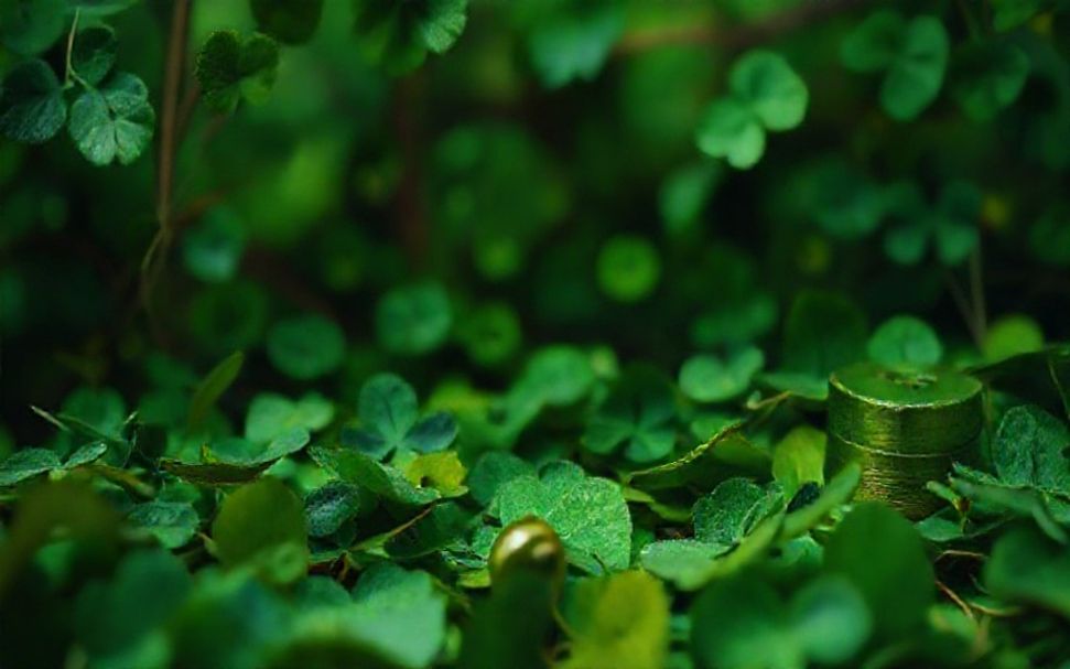 الحقيقة عن نصائح الحظ اليوم وكيفية تطبيقها بشكل فعال*