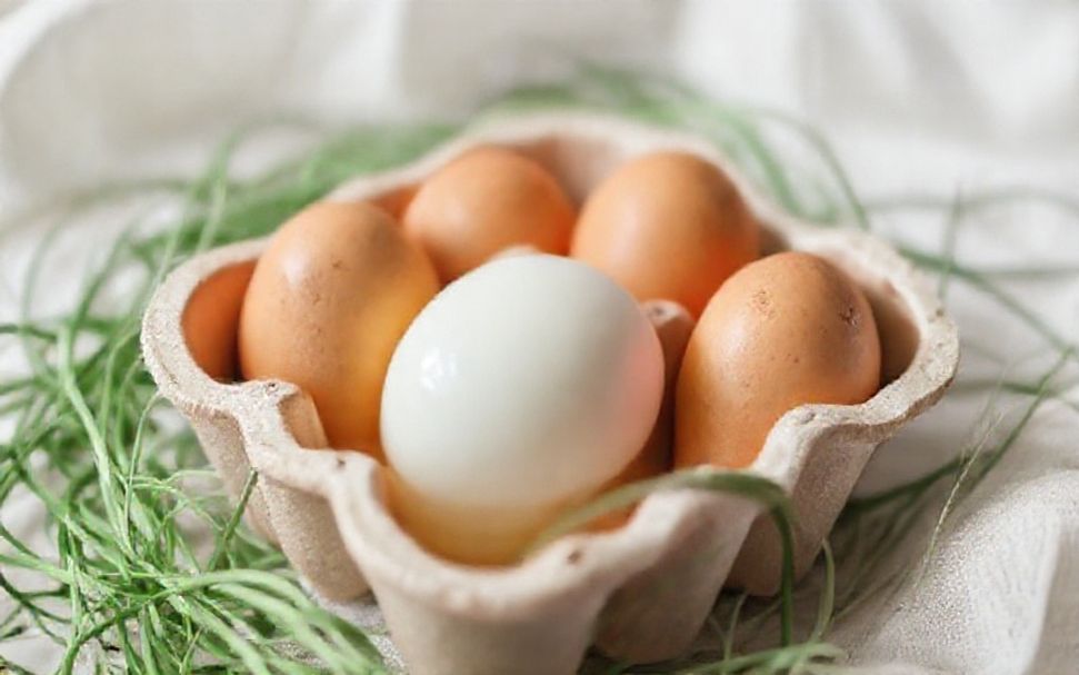 السبب وراء رؤية البيض في المنام: ما الذي يعنيه حقًا؟*