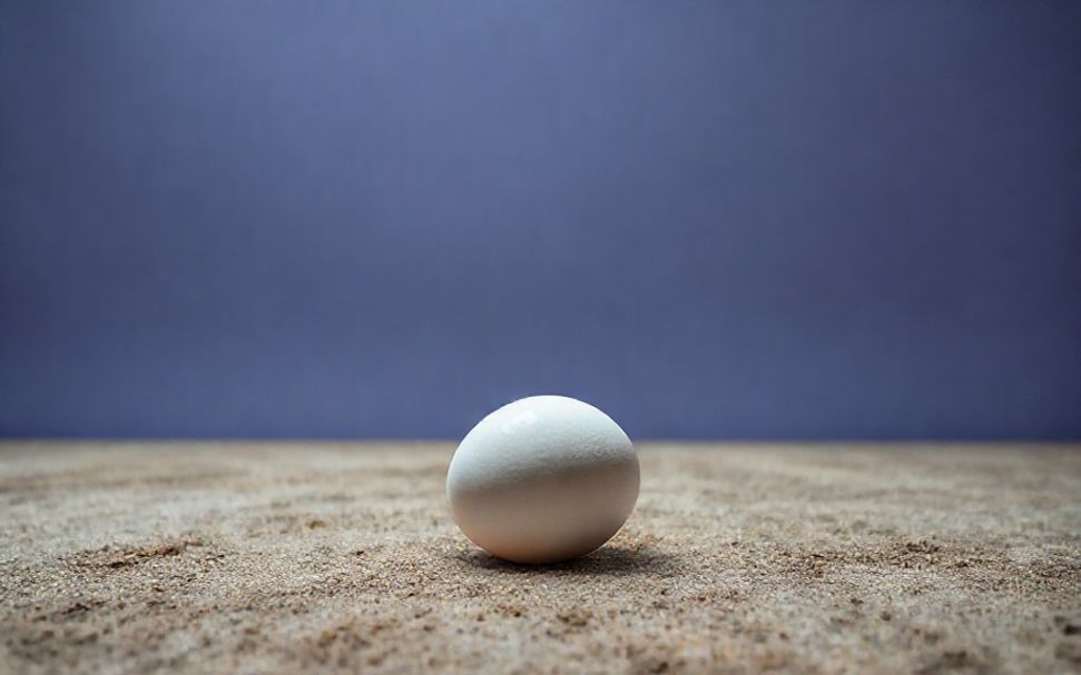 كيفية تفسير رؤية البيض في المنام: دلالاتها الإيجابية