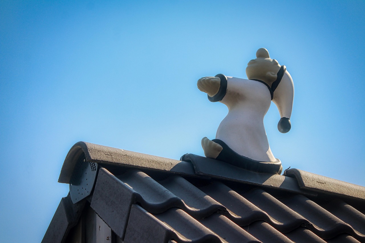 ما معنى رؤية الكلب في المنام؟