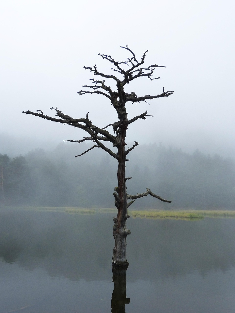 الخبز في المنام: دلالاتها الروحية والنفسية التي لا تعرفها*