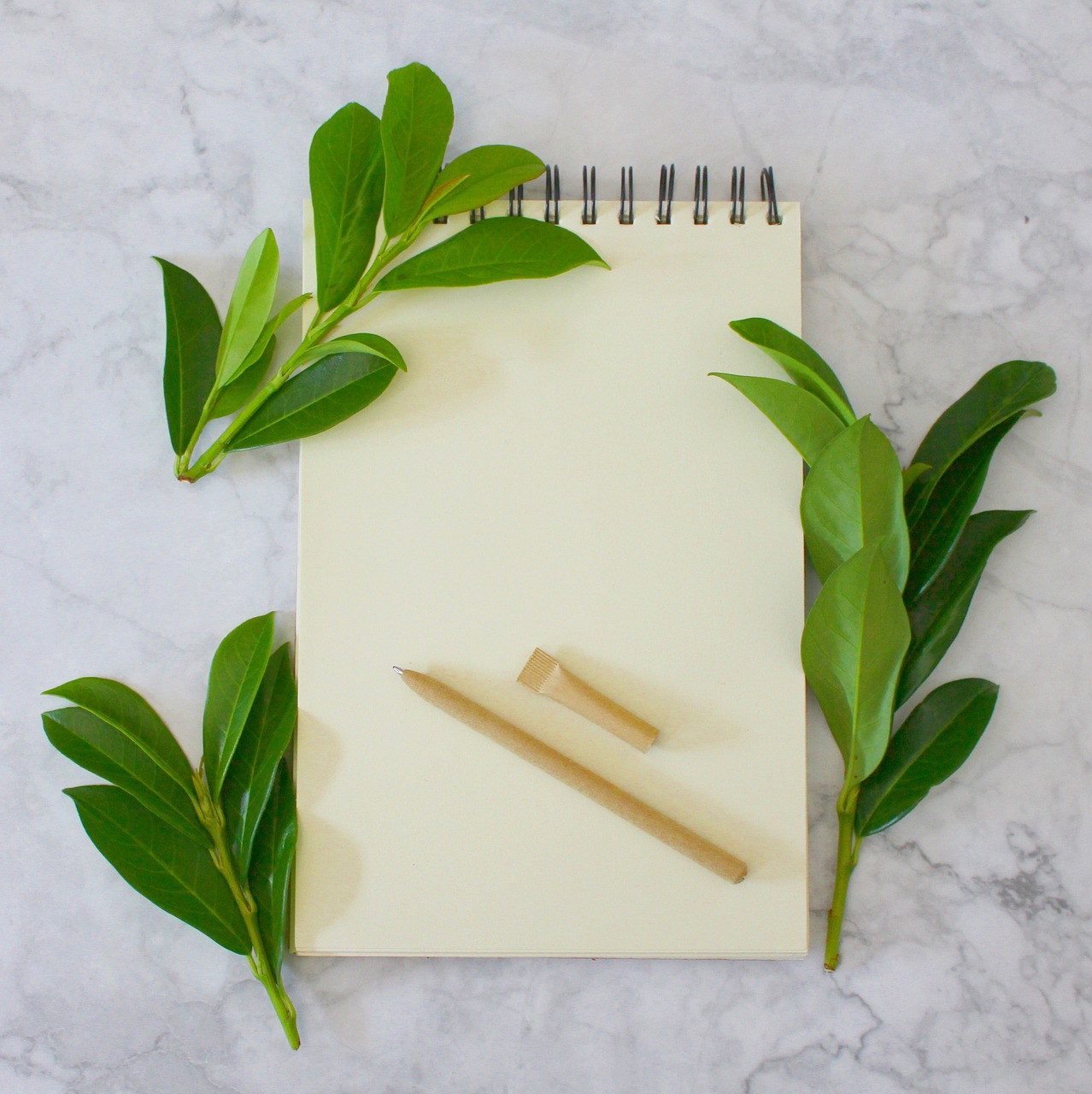 استمارة أولي ثانوي: دليل شامل لتسجيلك بنجاح