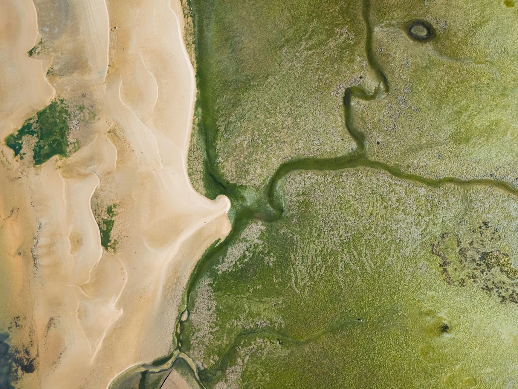 كيف يمكن أن يعزز عيد الأضحى 2025 روحك؟*