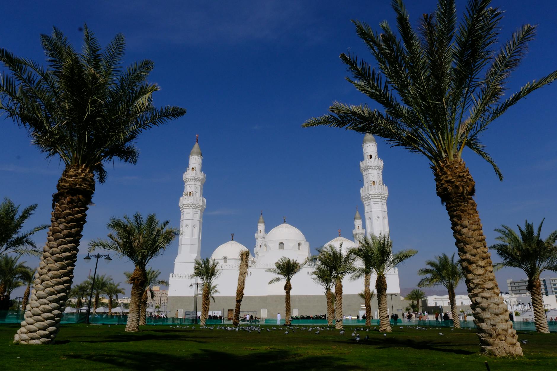 كيفية اختيار معلم مساعد فعال: دليل شامل*