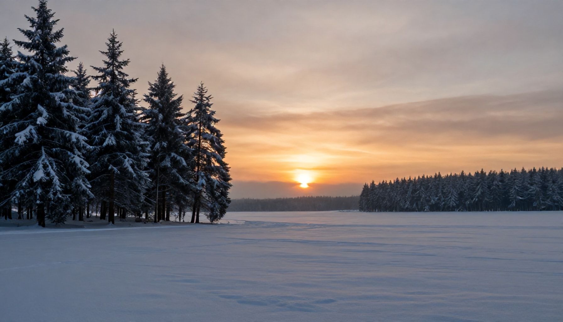 السبب وراء اختلاف بياضن الساعة في الفجر: الحقيقة التي لا يعرفها الجميع*