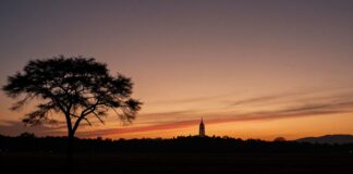 الفجر اليوم: 12 ساعة من جمال الفجر في المملكة