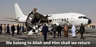 وفاة 150 شخصا في حادث تحطم طائرة في السعودية