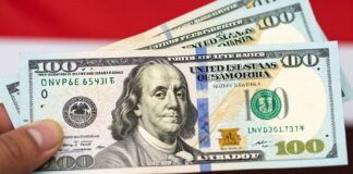 سعر الدولار اليوم في مصر: 30.75 جنيه في السوق السوداء