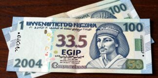 دولار مصر: 33.5 جنيهًا للشراء في 2024
